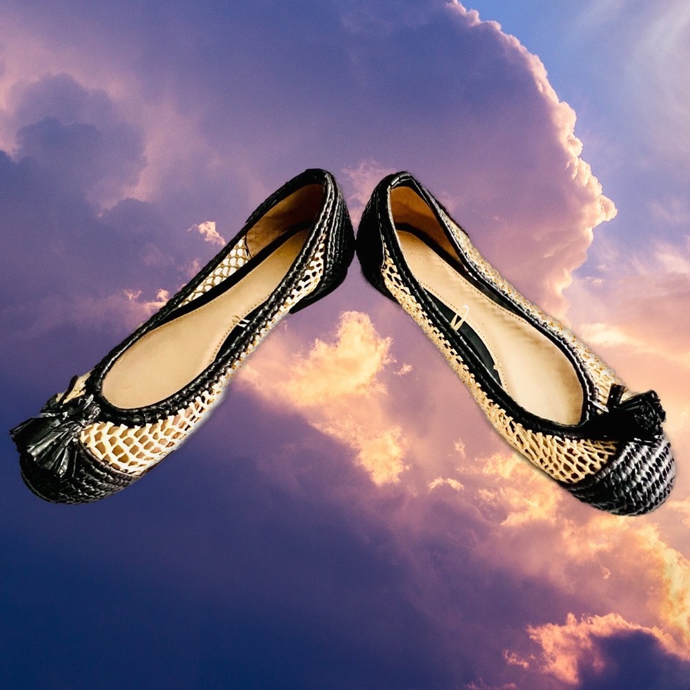 BRAND NEW Zara Braided Raffia Flat Shoes